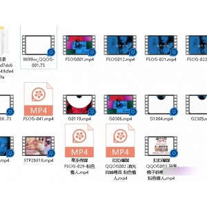 FSOG001最近几月粉情人16部合集【16v13.8g+百度盘】