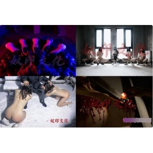 Twitter新晋大神（奴印文化）发起交友活动，邂逅心动女神【51V，1.2G】